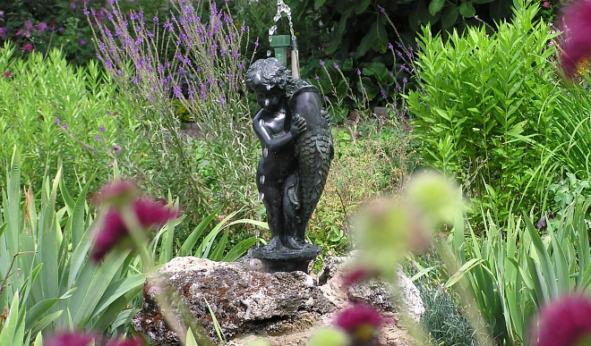 garten-brockmann-pute-blume-rot